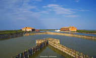 Valli di Comacchio